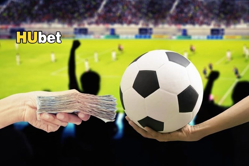 Từ người mới đến cao thủ – Bí quyết thắng lớn cùng Hubet